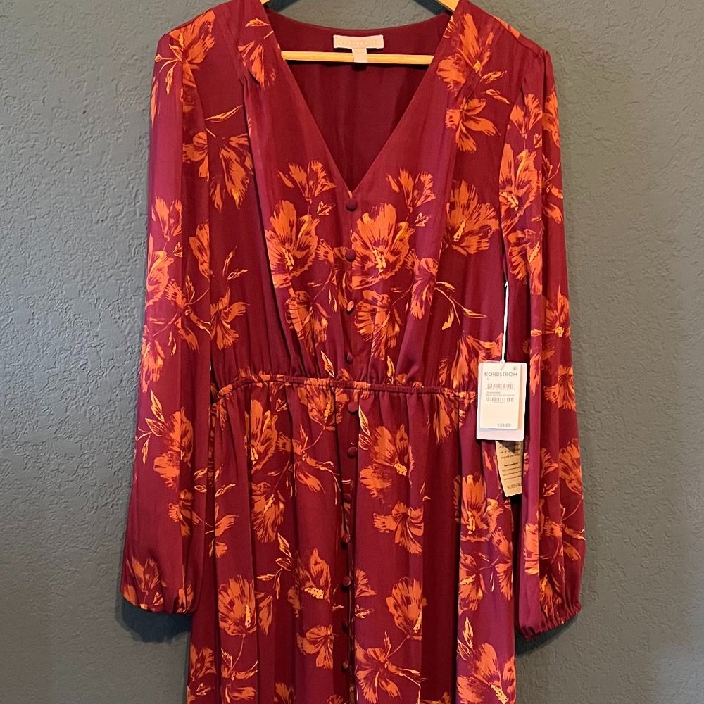 Long Sleeve Chiffon Floral Midi Dress